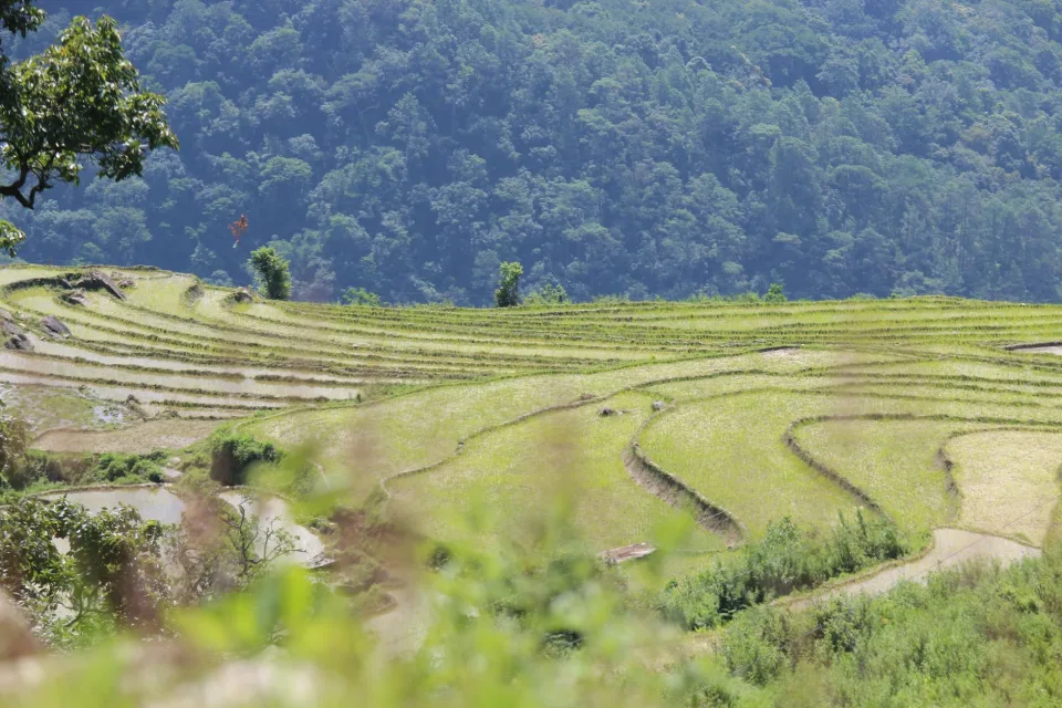 Kho gạo của Cơ Sở An Phú Thiện